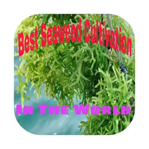 Play Best Seaweed Cultivation APK