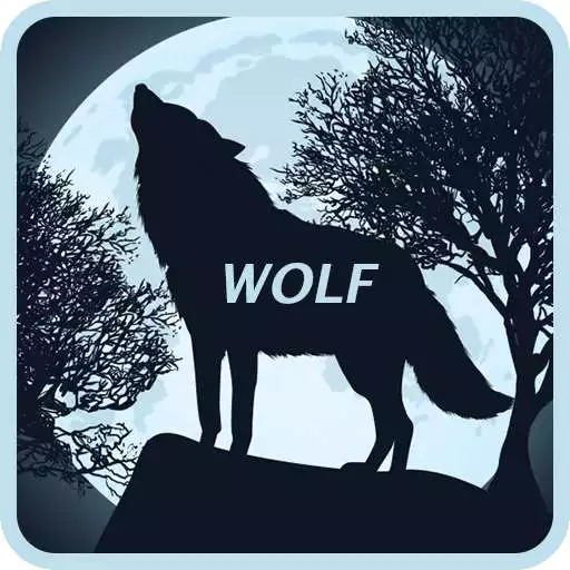 Play Best Wolf Wallpapers HD APK