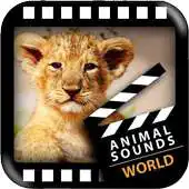 Free play online Best World Animals APK