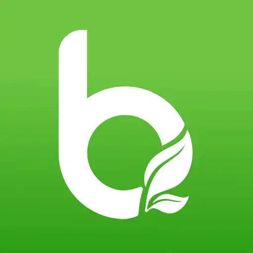 Play BFRESH APK