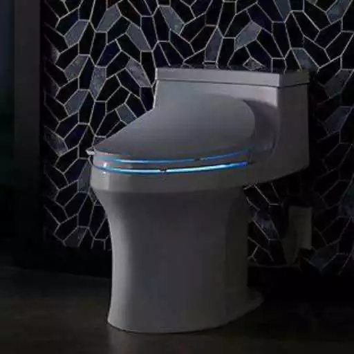 Play Bidet Toilet APK