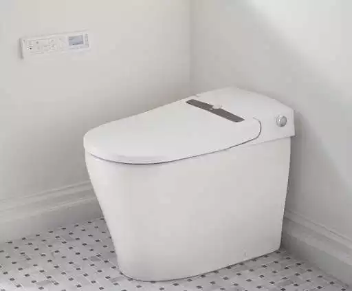 Play Bidet Toilet  and enjoy Bidet Toilet with UptoPlay