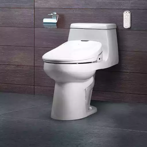 Play Bidet Toilet as an online game Bidet Toilet with UptoPlay