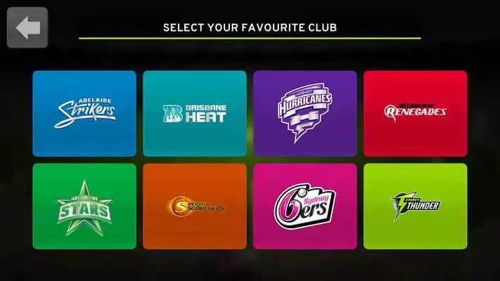 Play Big Bash Cricket