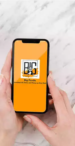 Play Big Panda  and enjoy Big Panda with UptoPlay