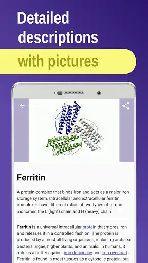 Play BiochemistryMolecular biology as an online game BiochemistryMolecular biology with UptoPlay