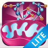 Free play online Biology Cellular Respiration L APK