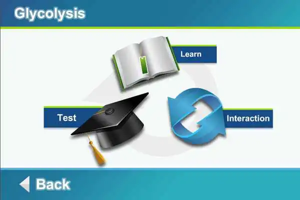 Play Biology Cellular Respiration L