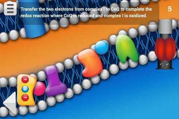 Play Biology Cellular Respiration L