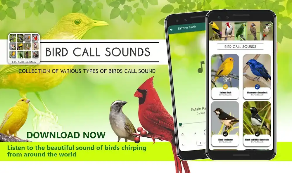 Play Bird Calls Sounds  and enjoy Bird Calls Sounds with UptoPlay