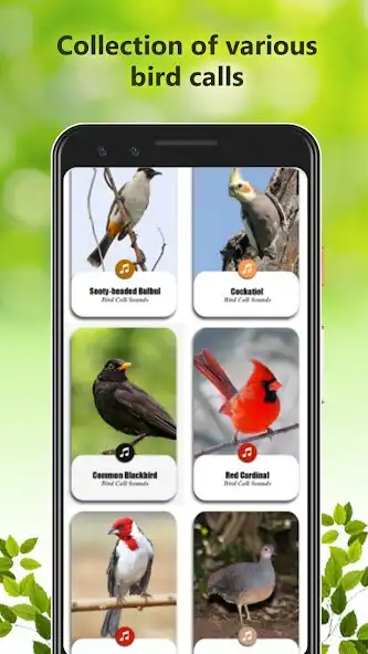 Play Bird Calls Sounds as an online game Bird Calls Sounds with UptoPlay