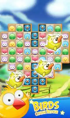 Play Bird Crush Rescue