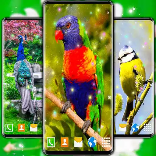 Play Bird Parrots HD Live Wallpaper APK