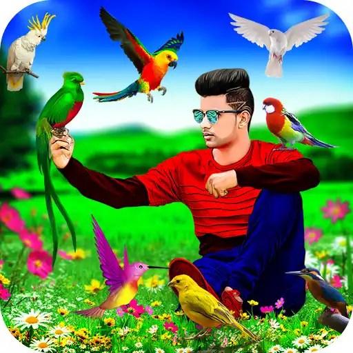 Free play online Bird Photo Editor APK