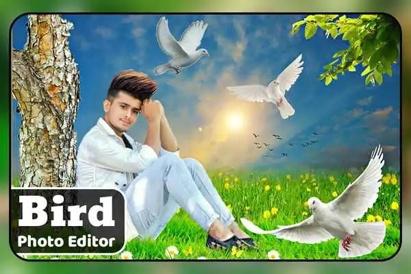 Play Bird Photo Editor