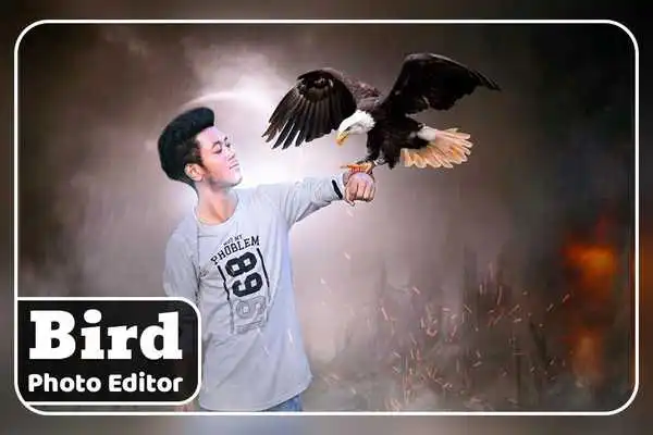 Play Bird Photo Editor