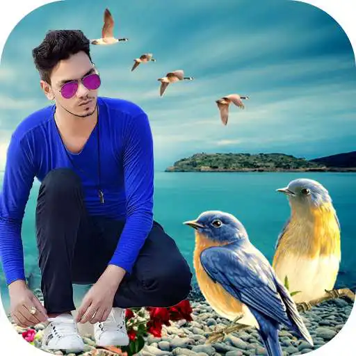 Run free android online Bird Photo Frame-Bird Photo Editor 2018 APK