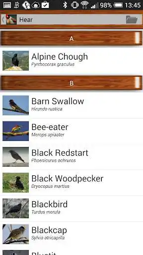 Play Bird Quiz as an online game Bird Quiz with UptoPlay