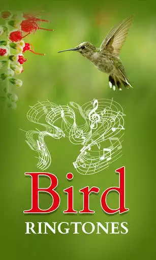 Play Bird Ringtones