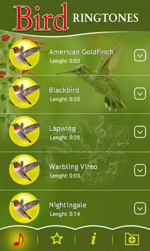 Play Bird Ringtones