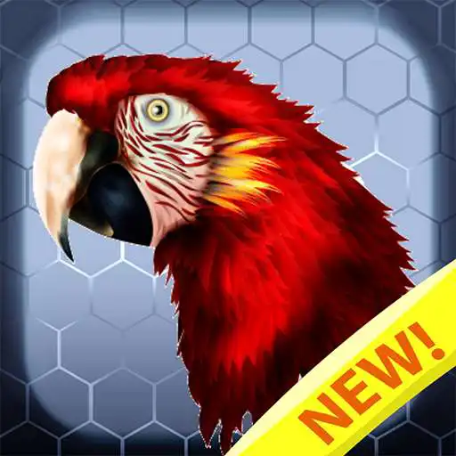 Play Birds color by number pixel art APK