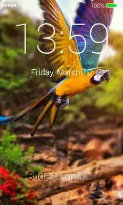 Play Birds lock screen.