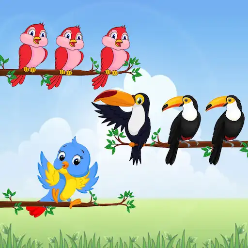 Play Bird Sort Puzzle:Bird Sort 3D APK