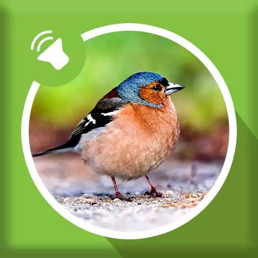 Play Bird Sounds APK