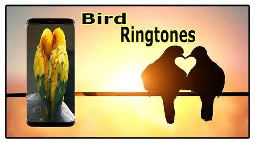 Play Bird Sounds Ringtones Free  and enjoy Bird Sounds Ringtones Free with UptoPlay