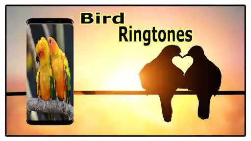 Play Bird Sounds Ringtones Free as an online game Bird Sounds Ringtones Free with UptoPlay