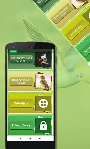 Play Bird Sounds as an online game Bird Sounds with UptoPlay