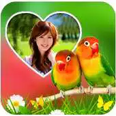 Free play online Birds photo Editor Photo Frame APK