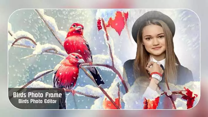 Play Birds photo Editor Photo Frame