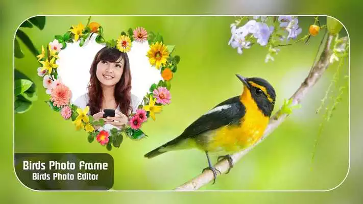 Play Birds photo Editor Photo Frame