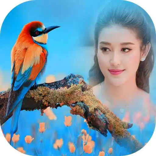 Run free android online Birds Photo Frame New APK