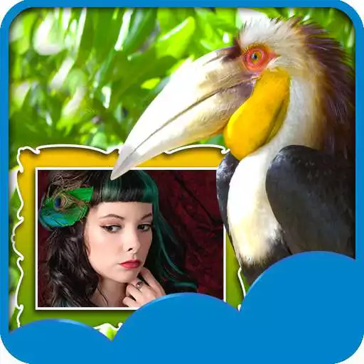 Free play online Birds Photo Selfie  APK