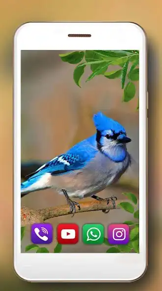 Play Birds Songs Live Wallpaper  and enjoy Birds Songs Live Wallpaper with UptoPlay