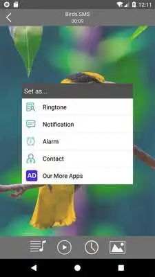Play Birds sound ringtones  wallpapers