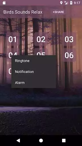 Play Birds Sounds Relax and Ringtones as an online game Birds Sounds Relax and Ringtones with UptoPlay