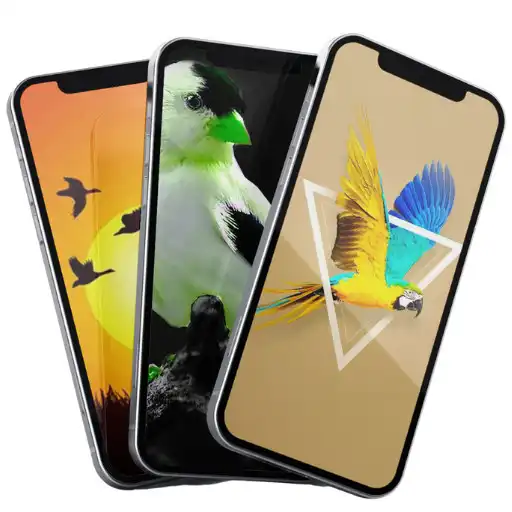 Play Birds Wallpaper APK