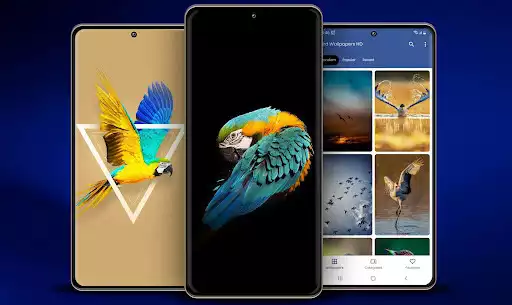 Play Birds Wallpaper  and enjoy Birds Wallpaper with UptoPlay