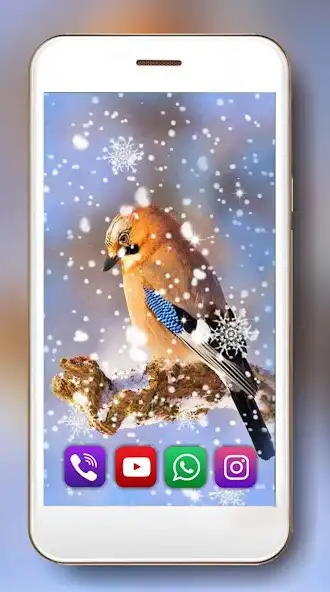 Play Birds Winter Live Wallpaper  and enjoy Birds Winter Live Wallpaper with UptoPlay