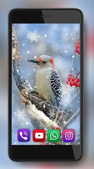 Play Birds Winter Live Wallpaper as an online game Birds Winter Live Wallpaper with UptoPlay