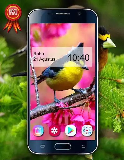 Play APK Bird Wallpaper HD  and enjoy Bird Wallpaper HD with UptoPlay com.Bird.wallpaper.image.background.wallpaper