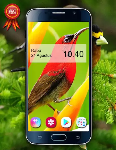 Play APK Bird Wallpaper HD  and enjoy Bird Wallpaper HD with UptoPlay com.Bird.wallpaper.image.background.wallpaper