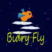 Free play online Birdy Fly APK