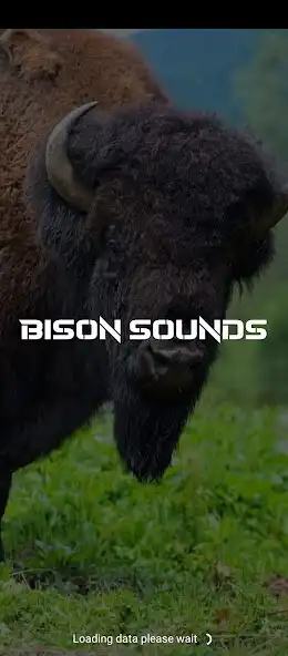 Play Bison sounds  and enjoy Bison sounds with UptoPlay