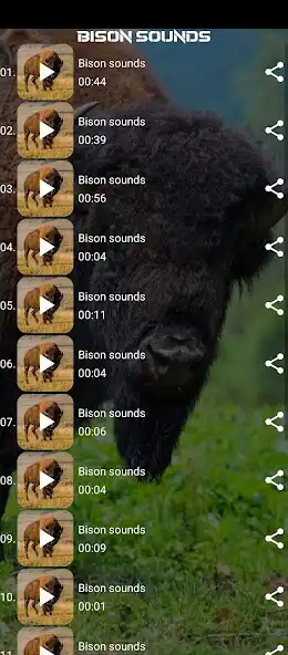 Play Bison sounds as an online game Bison sounds with UptoPlay