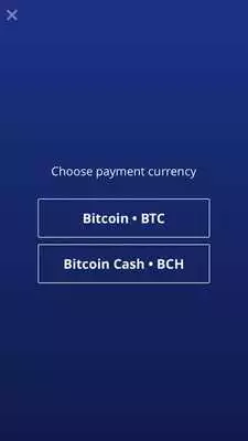 Play BitPay Checkout