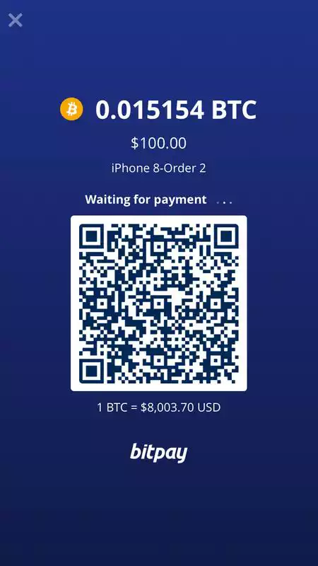 Play BitPay Checkout